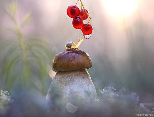 После дождя