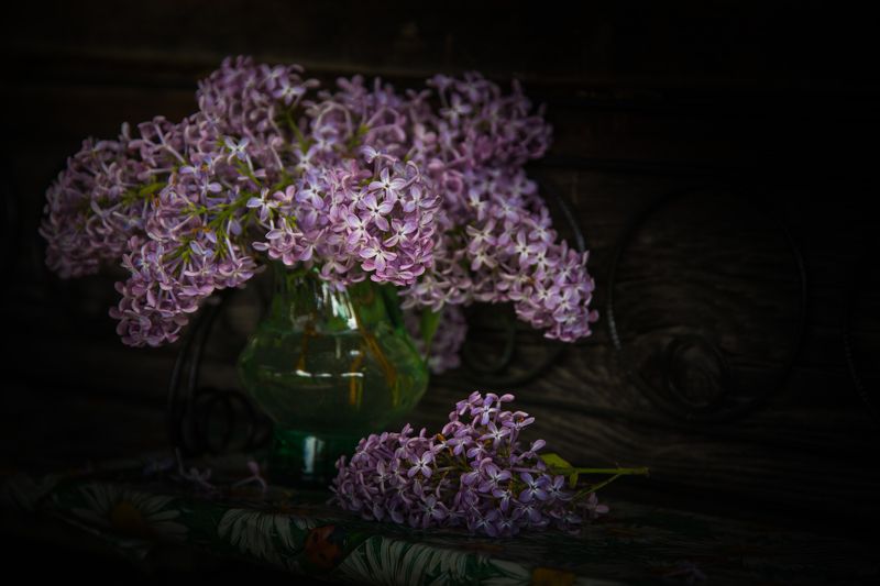 натюрморт сирень цветы ваза сирень фото превью