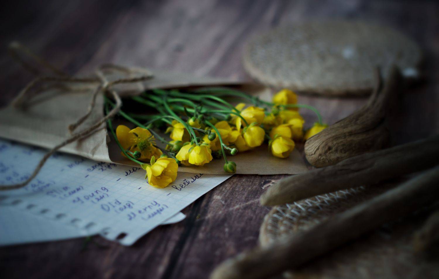 , Тамара Аржанова