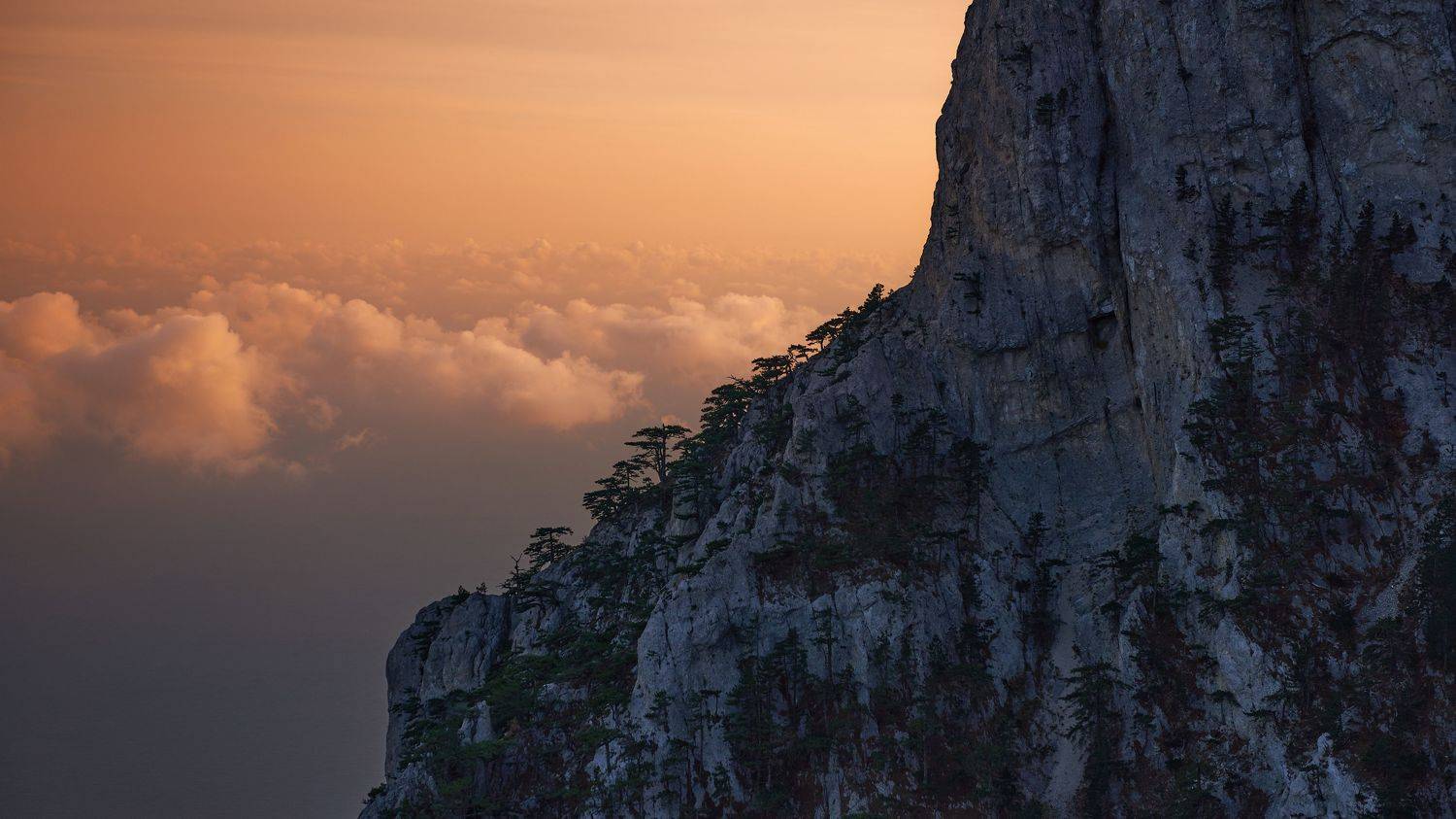 , Андрей Золотницын