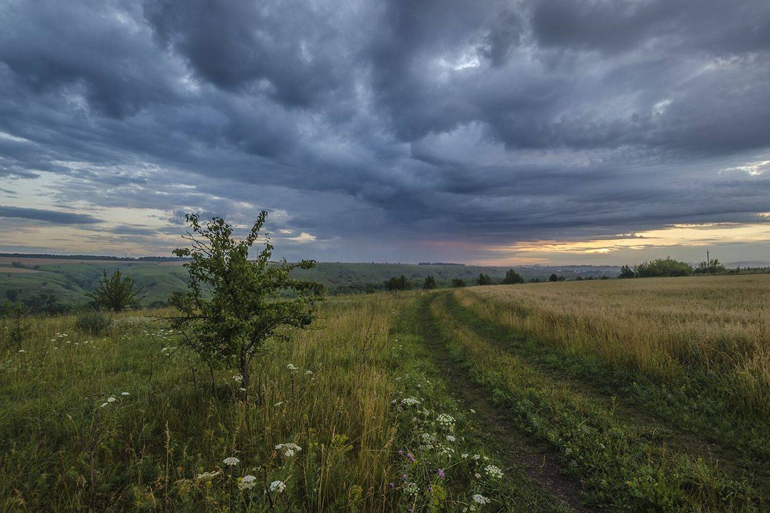 утро, лето, черепянь, Михаил Агеев