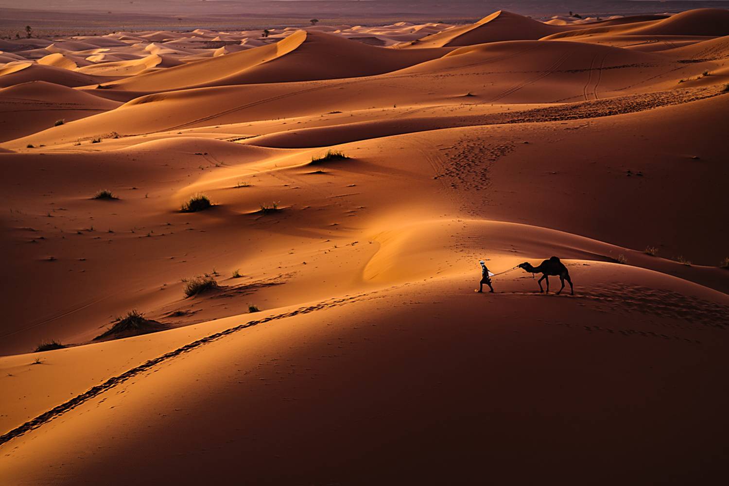 landscape nature scenery spring desert sahara sand berber bedouin sunset evening пейзаж закат пустыня, Александър Александров