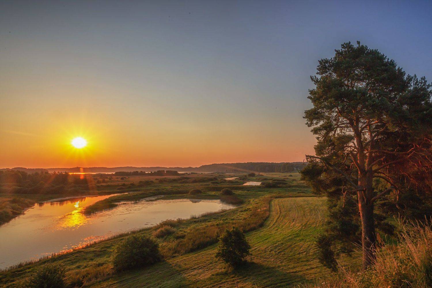 , Елена Маковоз