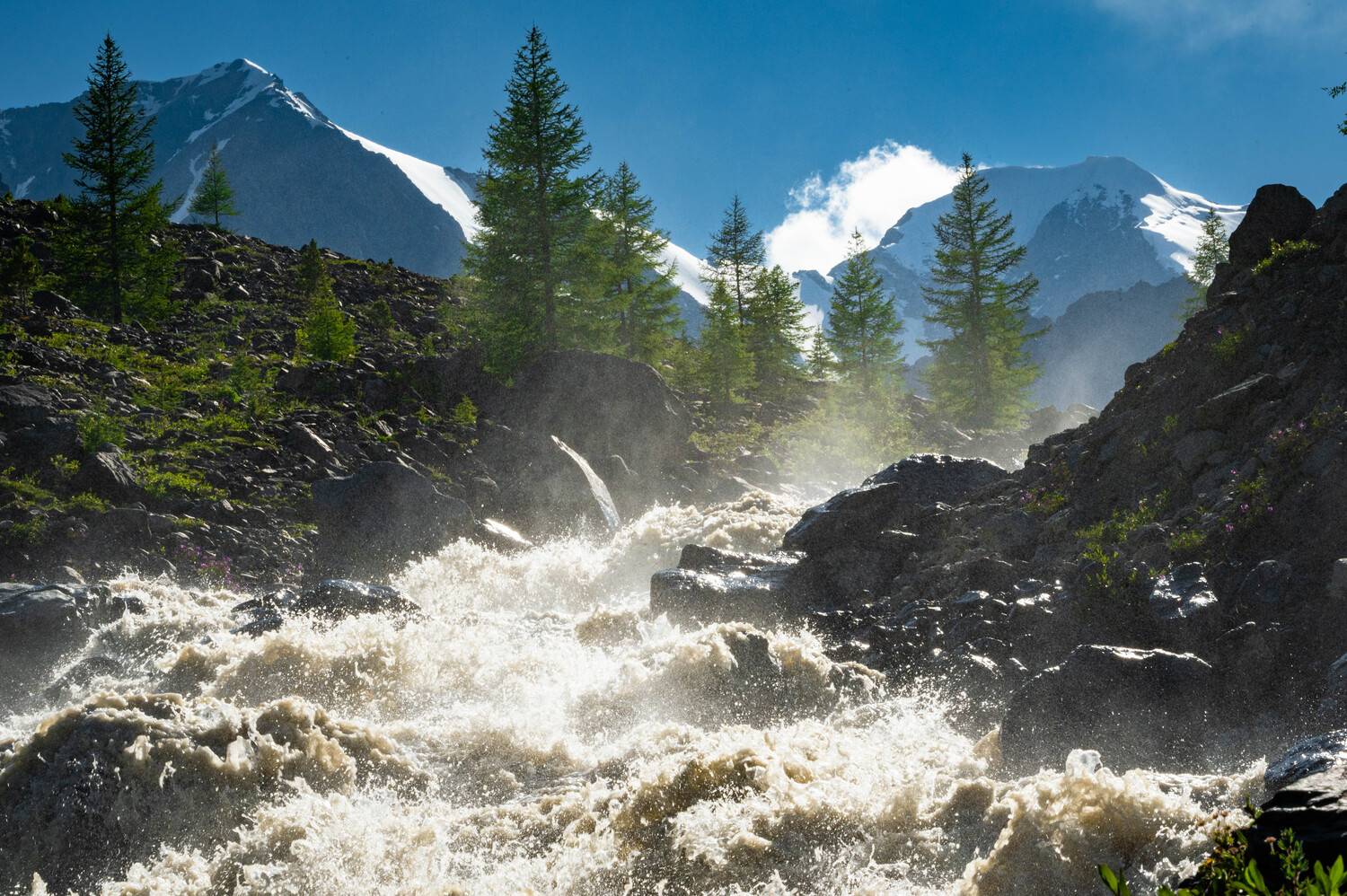 , Иван Федянин