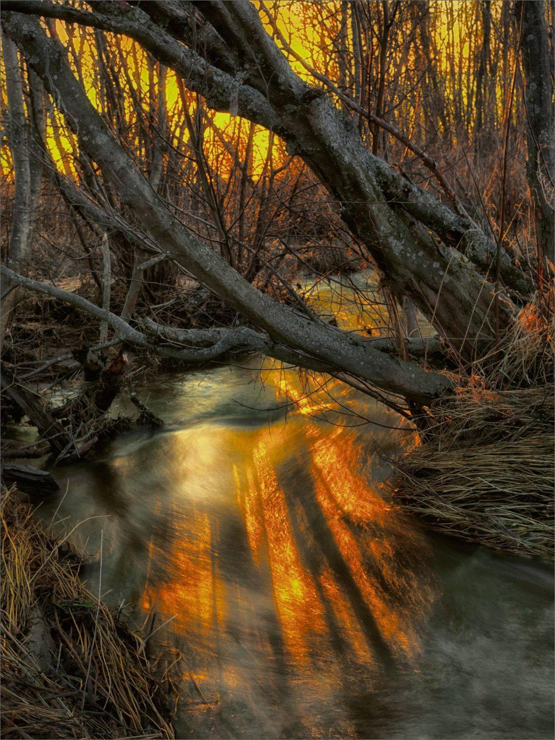 пейзаж, вечер, свет, цвет, река, тени, отражения, лес, александр никитинский., Никитинский Александр