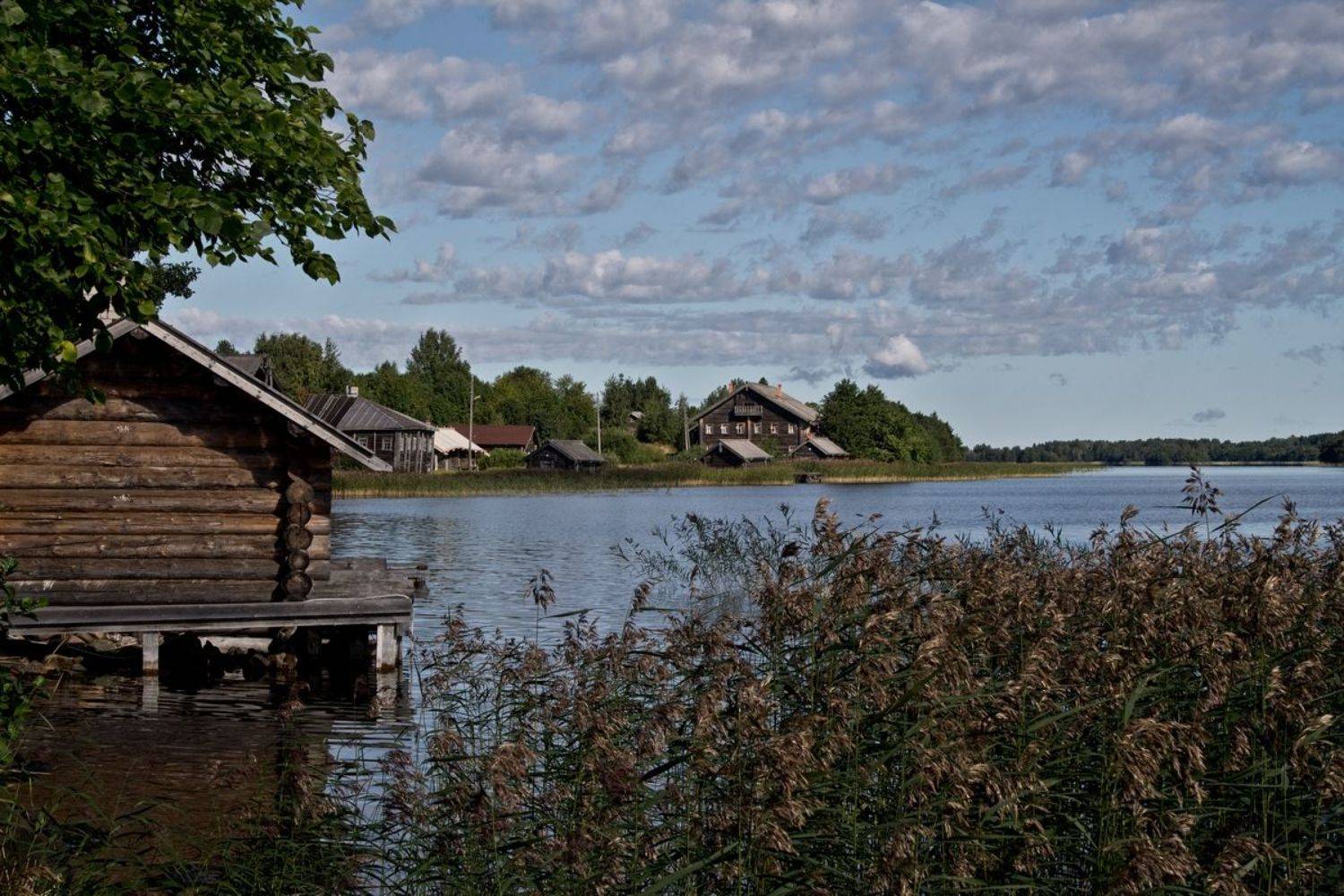 , Михаил Анисимов