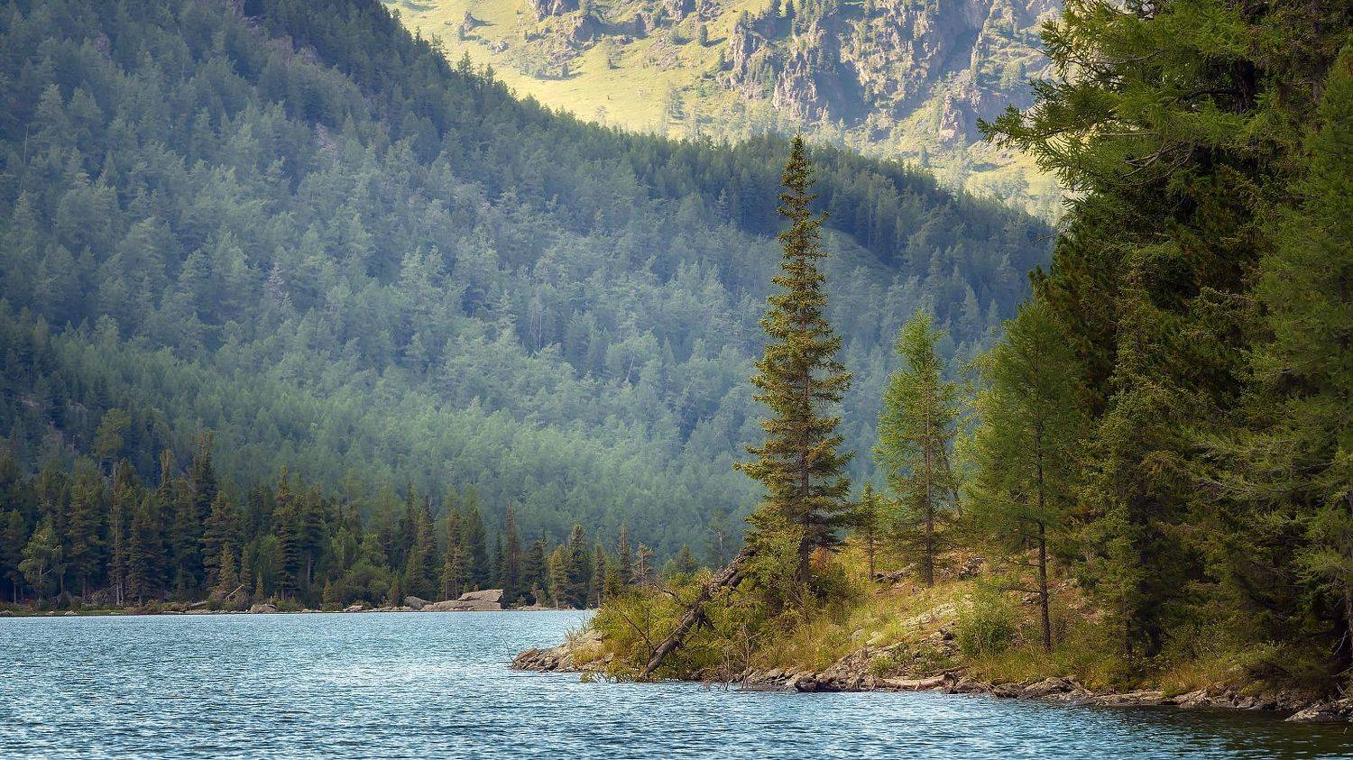 , Мозжухин Максим