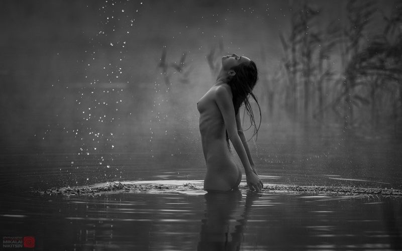 *** фото превью