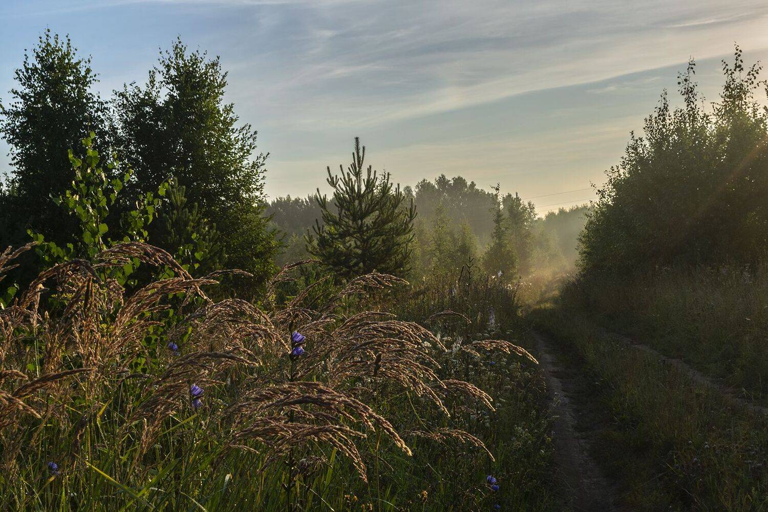 , Галина Луценко