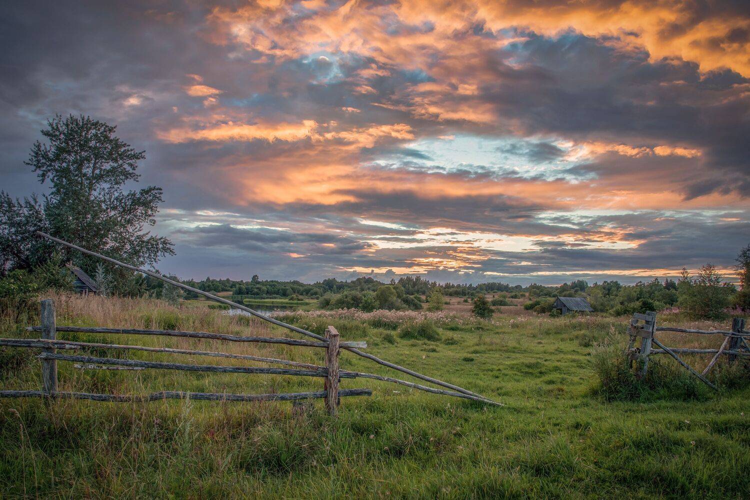 тверская, область, Гусева Елена