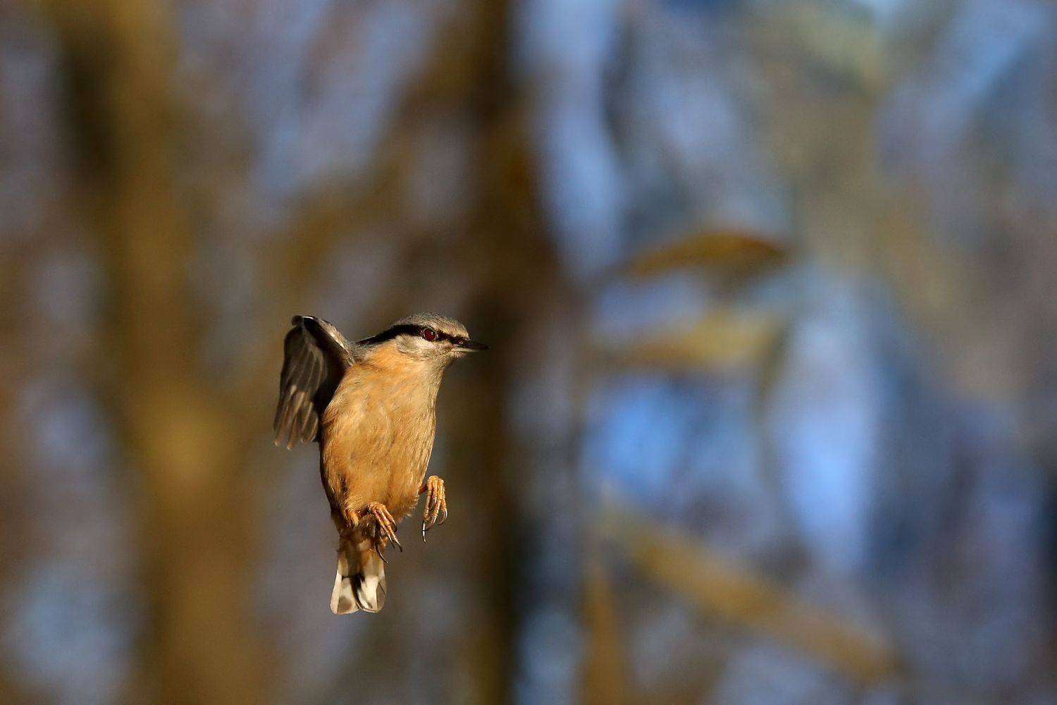 , Эдуард Колобошников