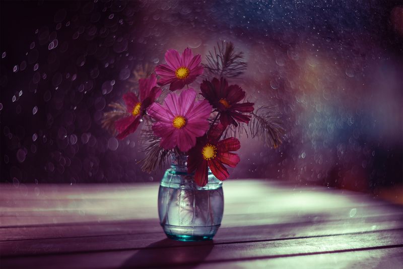 ***космос фото превью