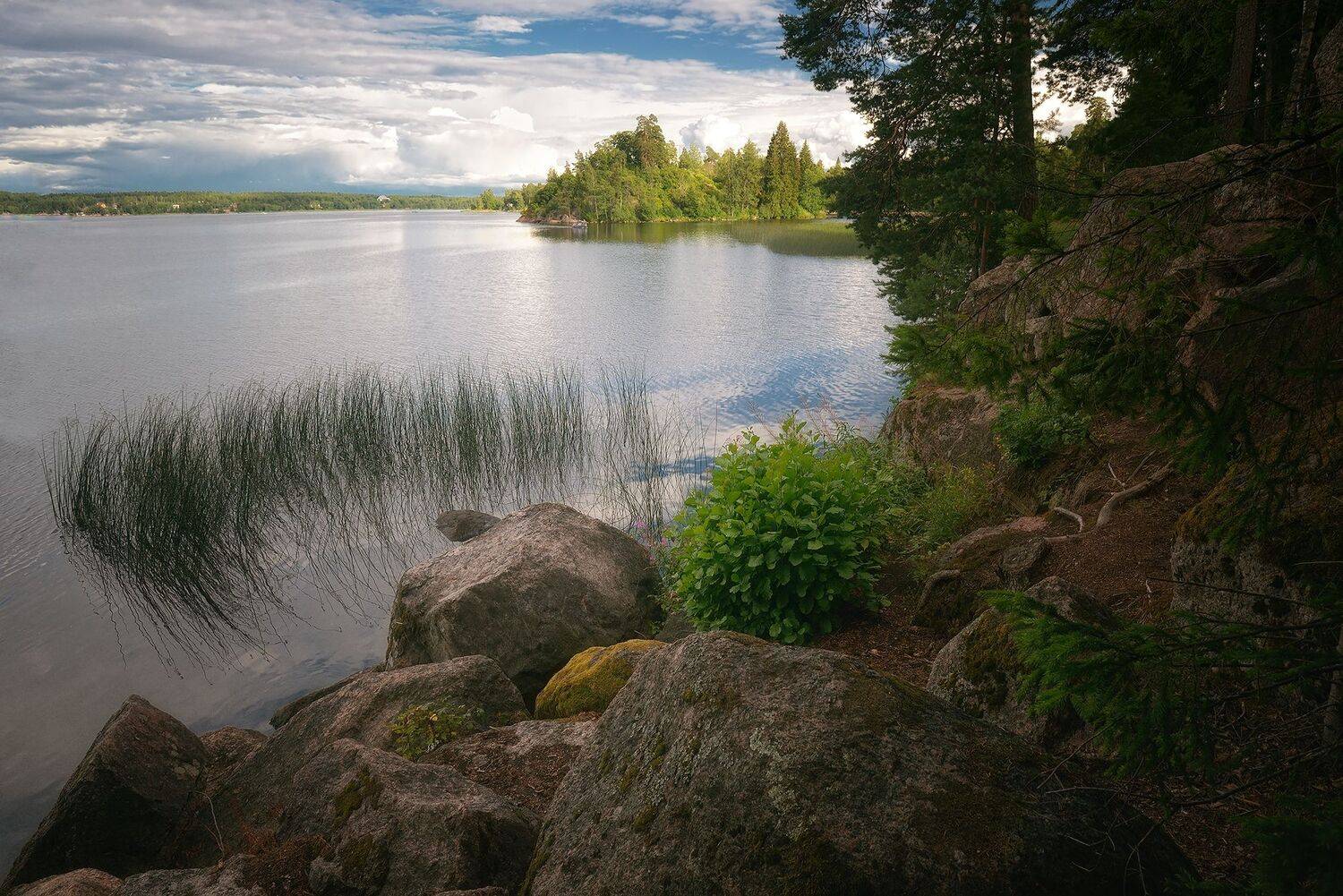 , Алексей Никонов