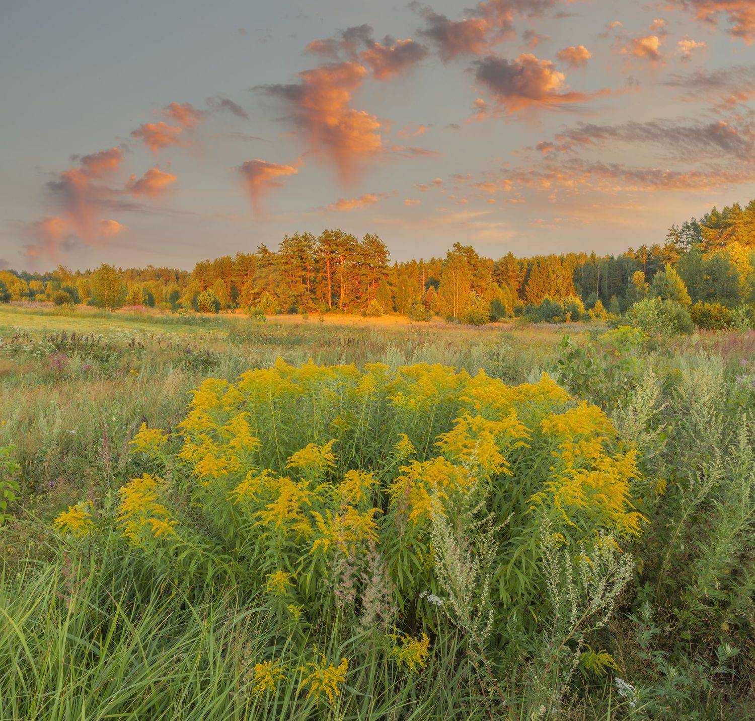 Фототуры с Владимиром Рябковым, #topnature #russpasibo #magic_shots #lovelyRussia #sunset_vision #exclusive_sky  #exclusive_shots #loves_russia2 #photoarena_nature #nature_sultans #nature_perfection #rsa_sky #rsa_sunset #photorussia #rsa_naturepics #sunse, Владимир Рябков