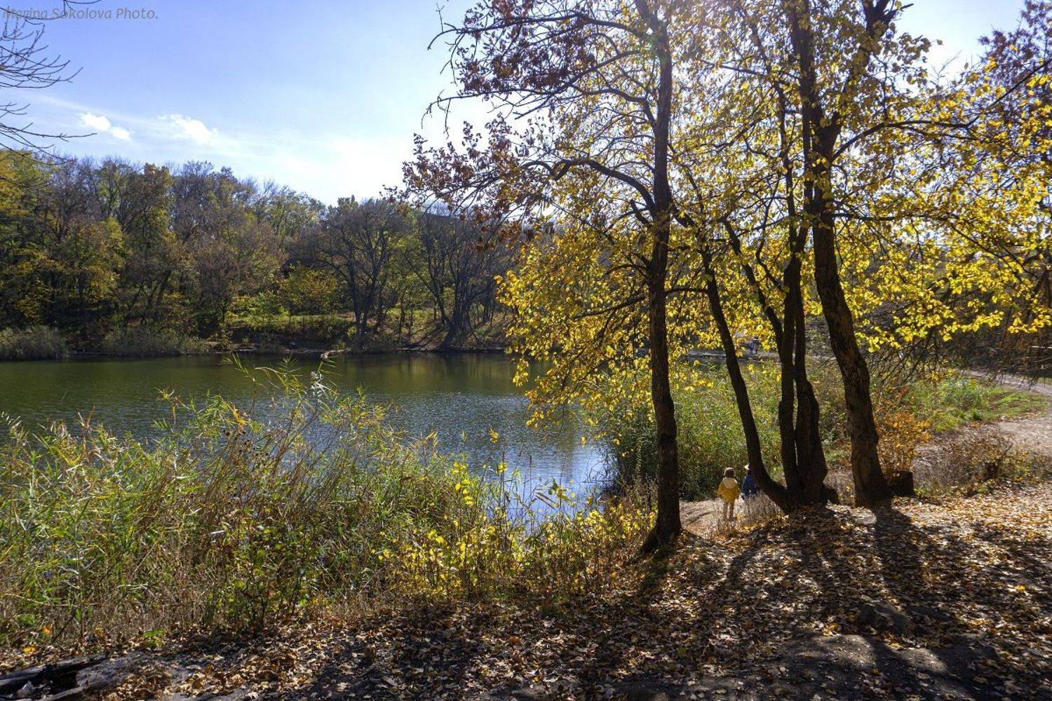 осень,природа.пейзаж, Марина Соколова