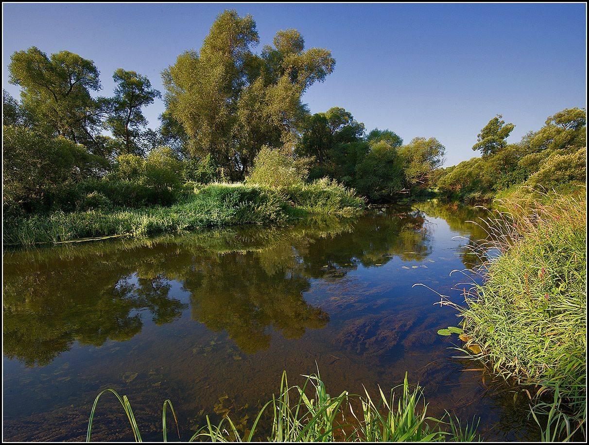 калужская обл. р. протва, утро, АНАТОЛИЙ ДОВЫДЕНКО
