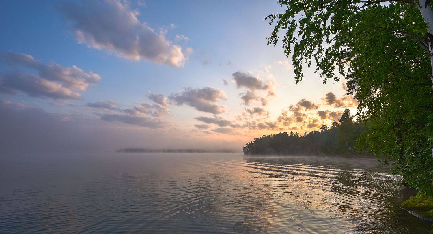 , Максим Ватрушкин