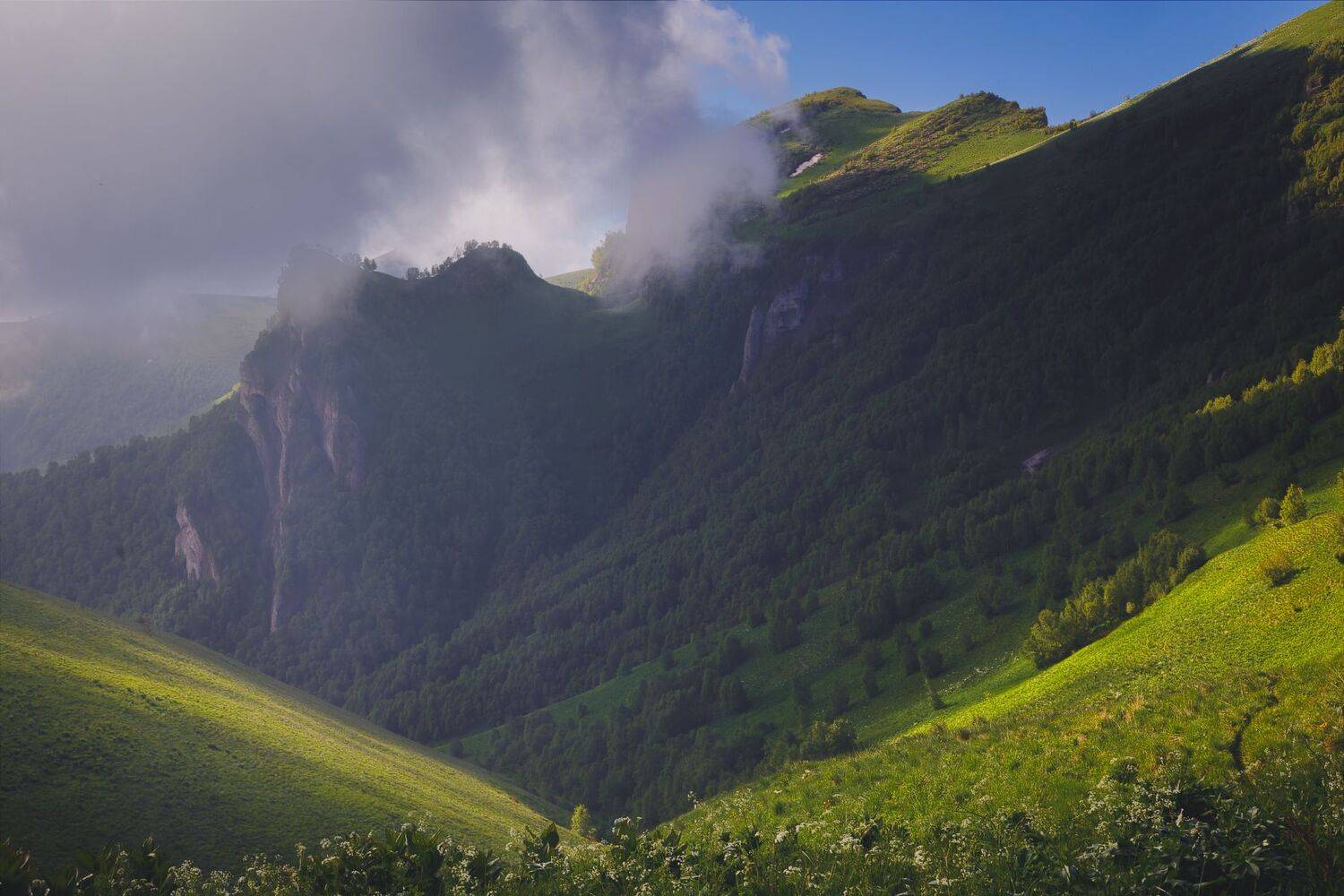 Большой Тхач, Адыгея, Большой Кавказ, июнь 2022, Дмитрий Шишкин