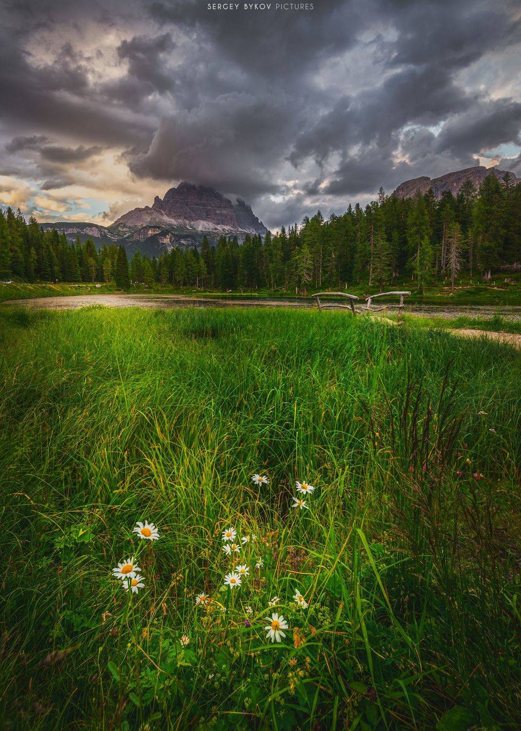 dolomiti, mood,  alps, stunning, landscape, wood, Сергей Быков