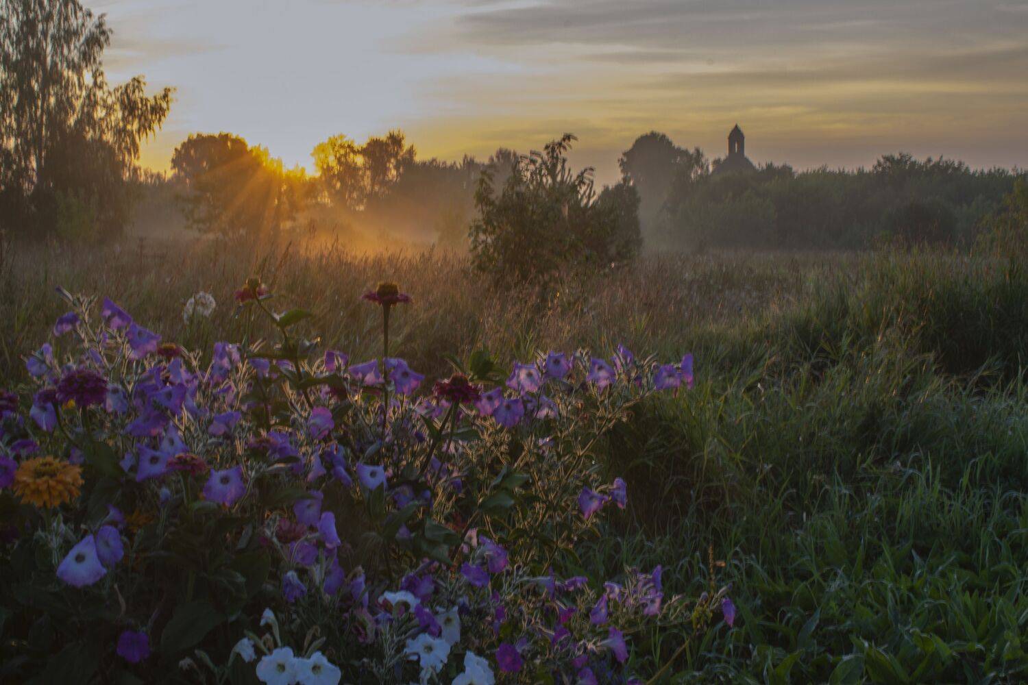 , Галина Луценко