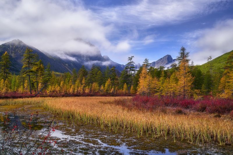Старица Неведомого фото превью