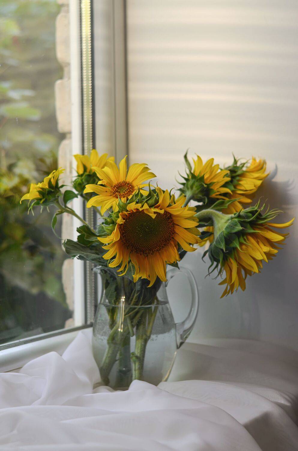 Подсолнухи, цветы, растения, букет, букет подсолнухов, Shadow Anna