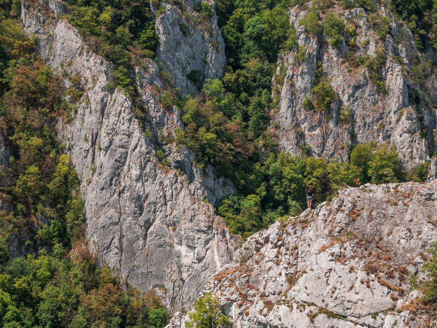 slovakia,landscape,nature,forest,rocks,wall,scale,nopeople, Slavom&iacute;r Gajdo&scaron;