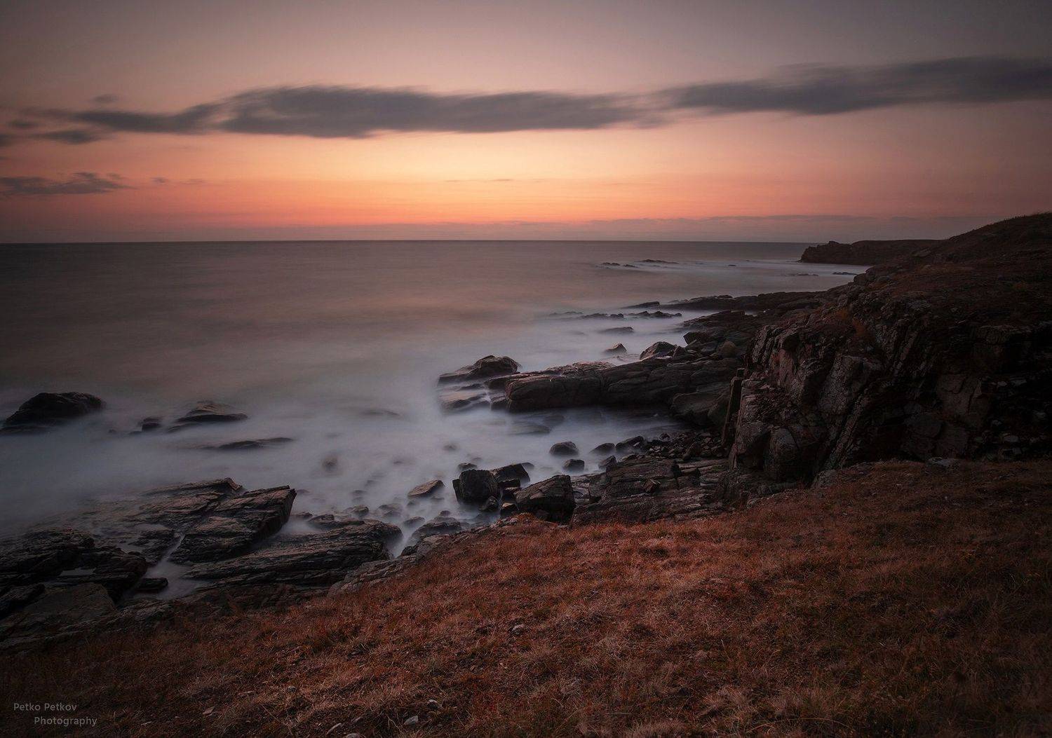 , Петко Петков