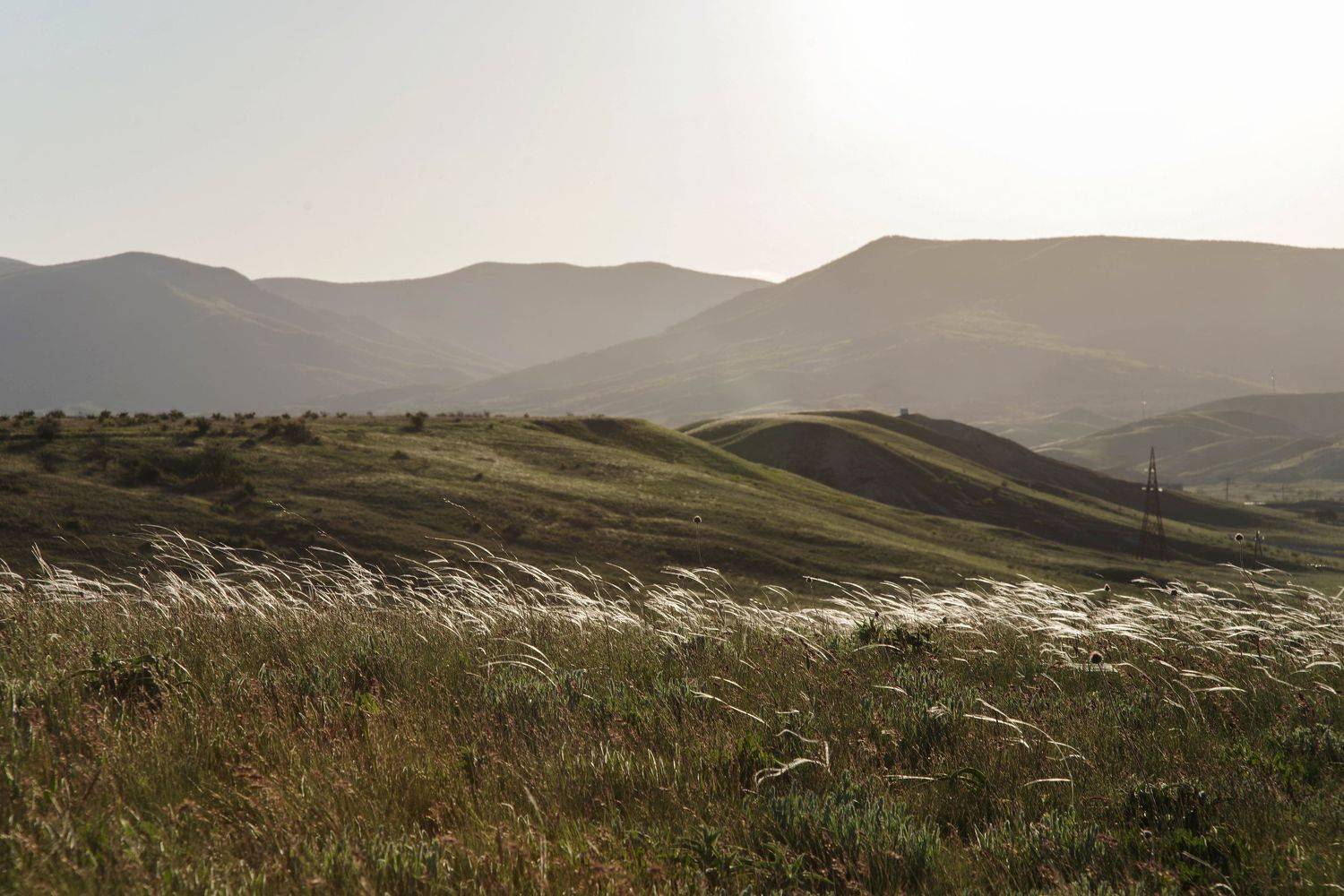 , Ольга Беккер