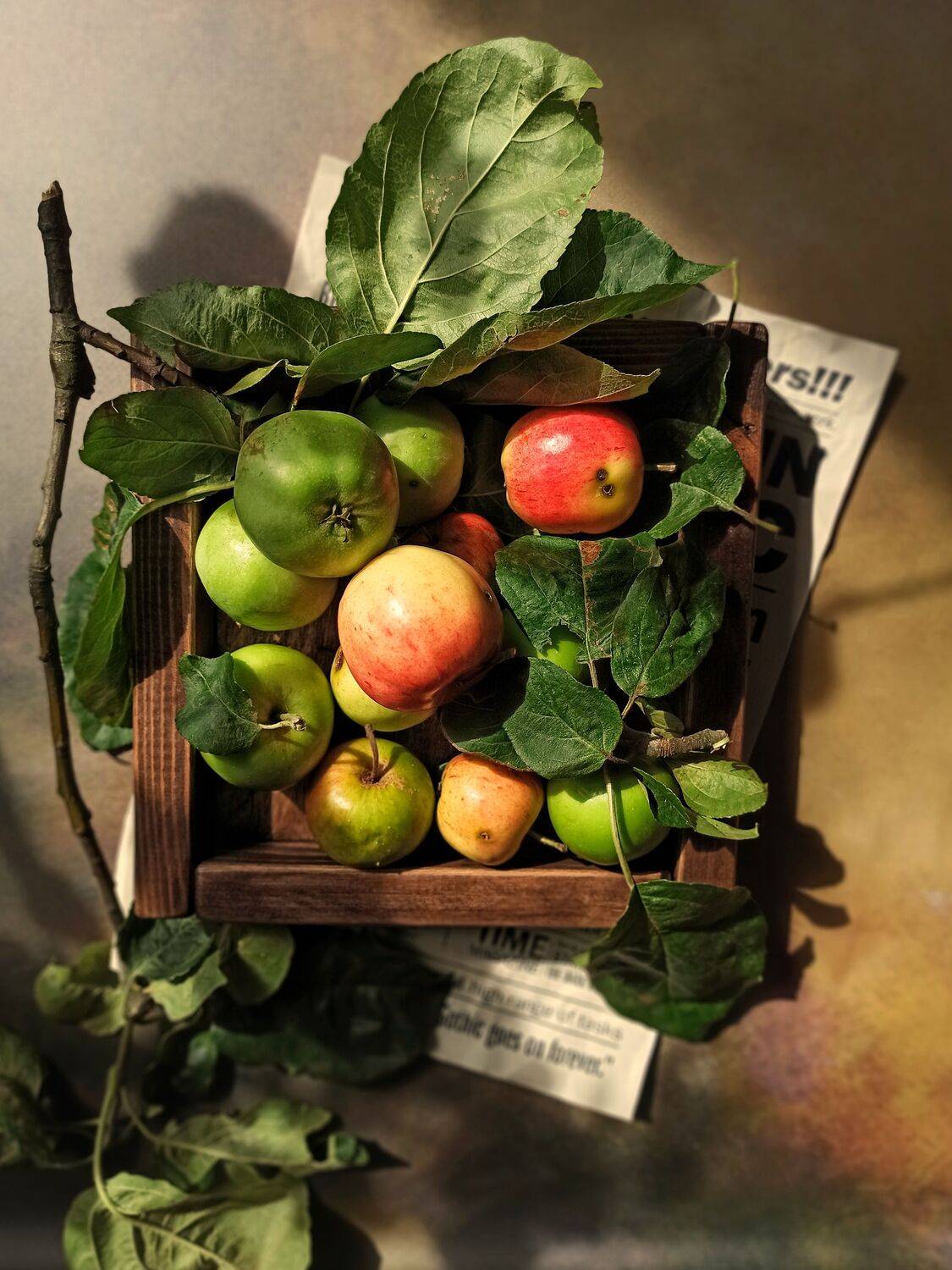 , Дина Полухина