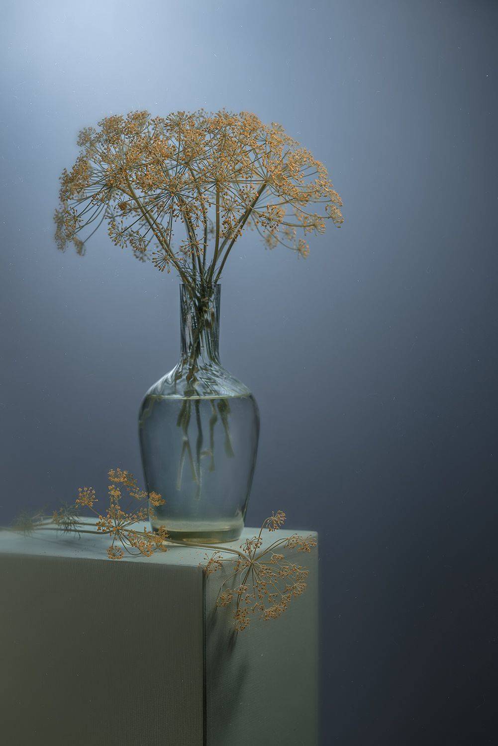 букет, укроп, натюрморт, минимализм, Ольга ЯR