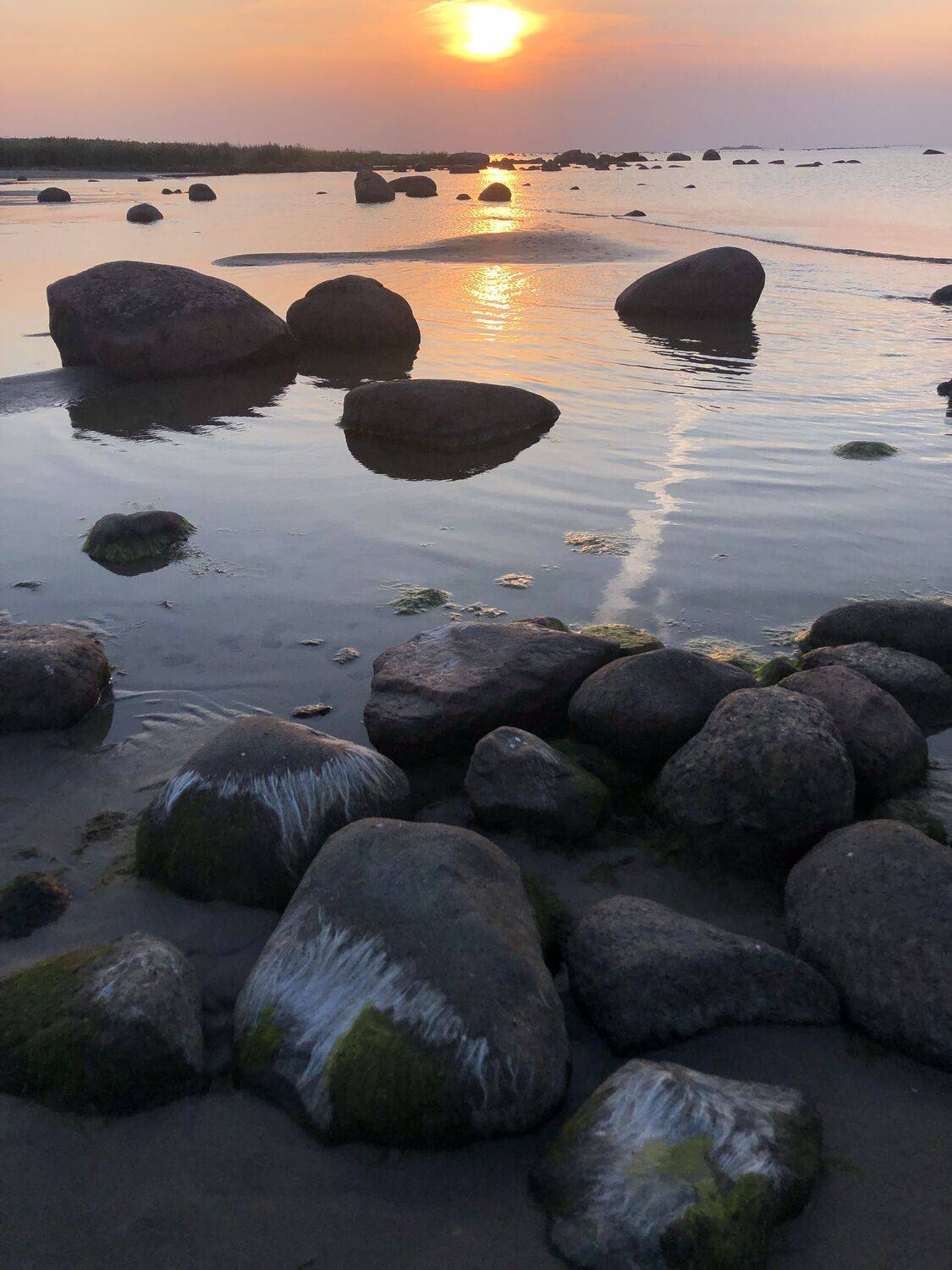 , Александра Елагина