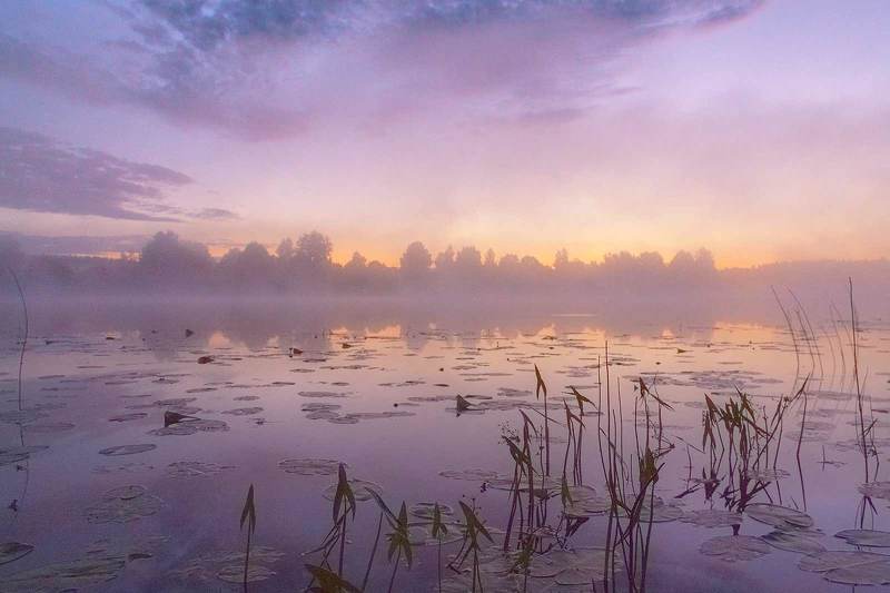 Рассвет фото превью