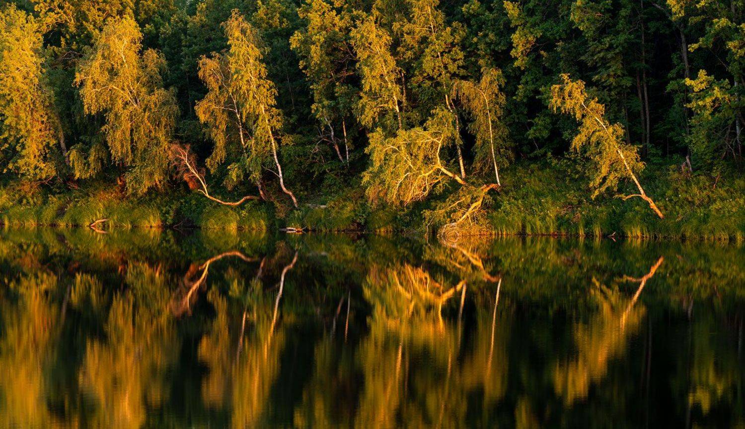 , Евгений Бушков