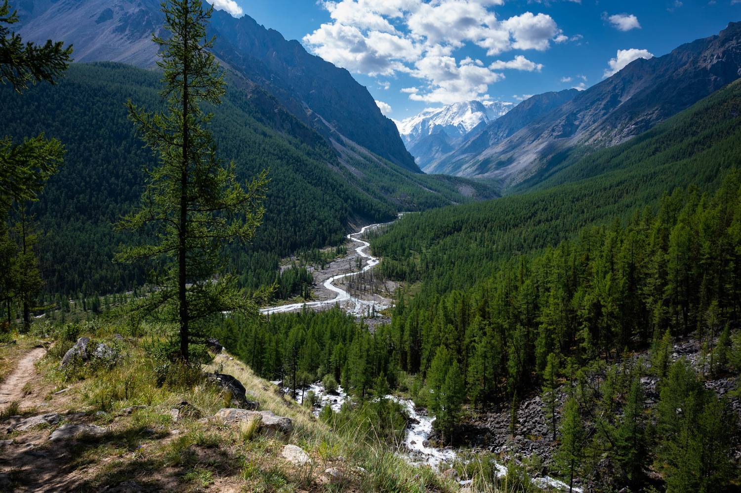 , Иван Федянин