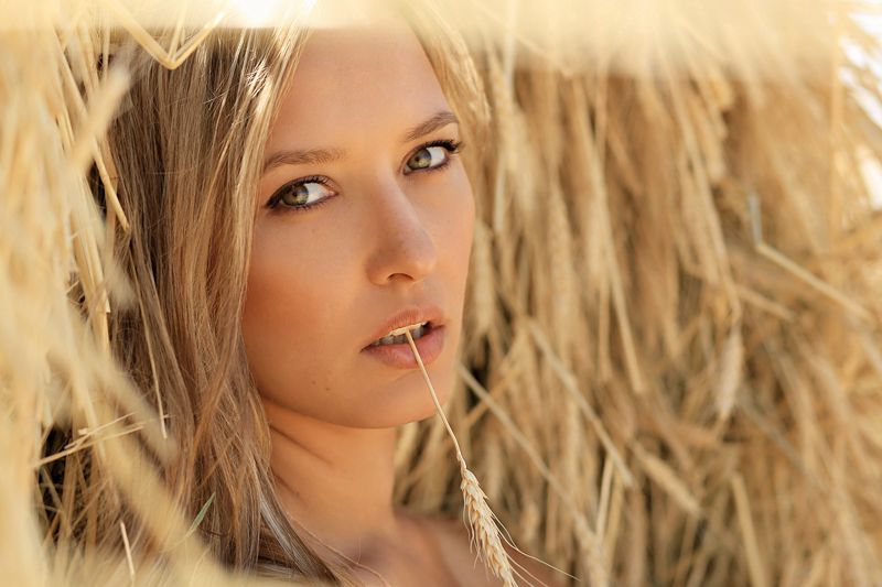 Колосок фото превью