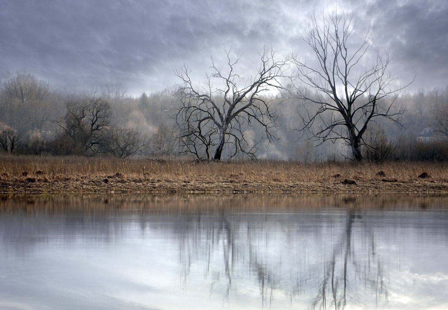 , Волоцков Александр