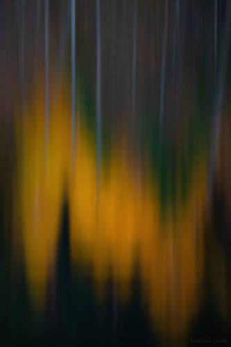 Октябрь и ноябрь