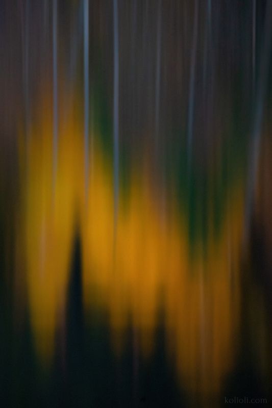 абстракция, осень, ноябрь, лёд, фактуры, intimate landscape, отражения, капельки на листьях, карельский перешеек, ленинградская область Октябрь и ноябрь фото превью