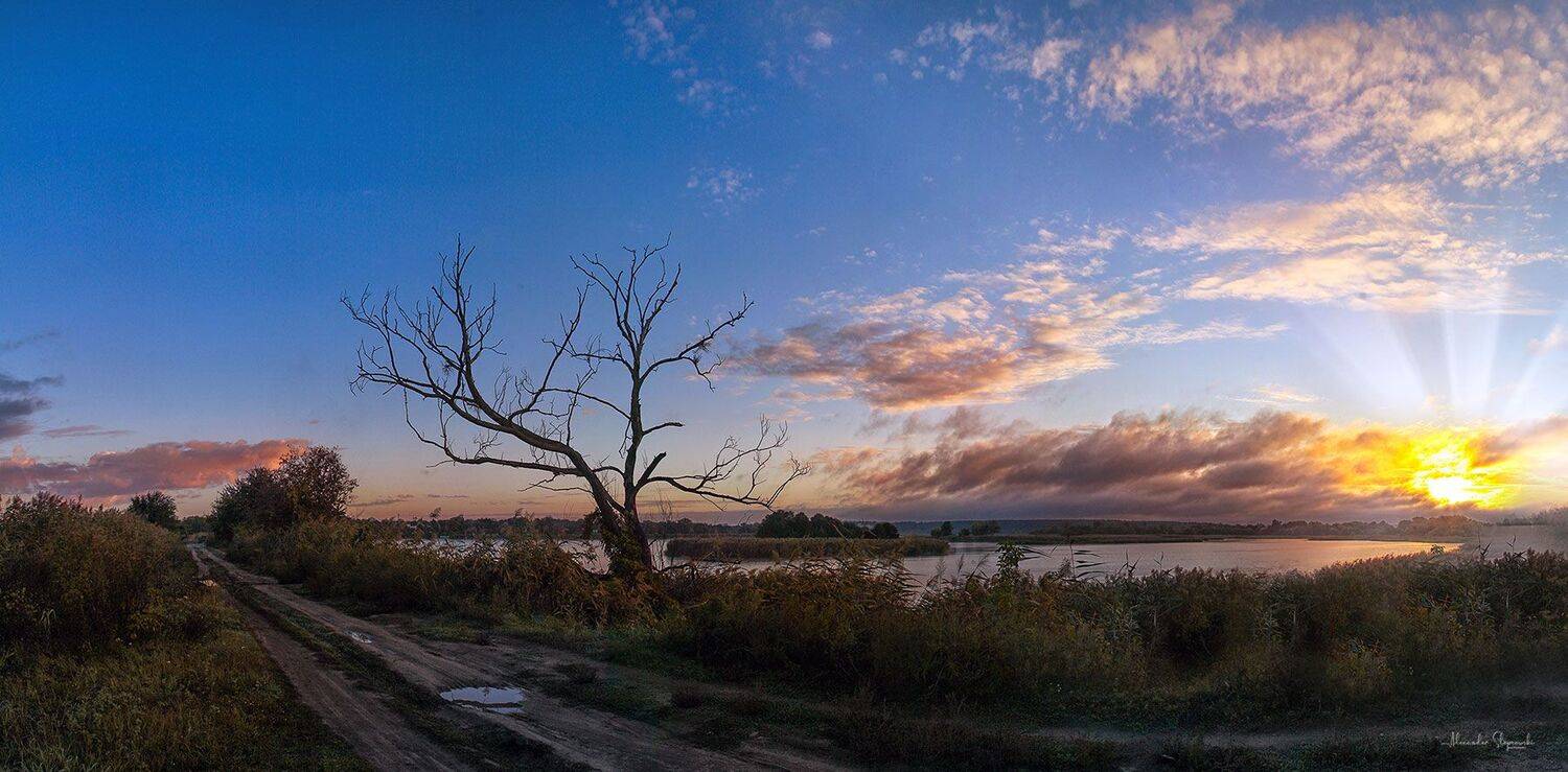 , Alexander Slepcowski