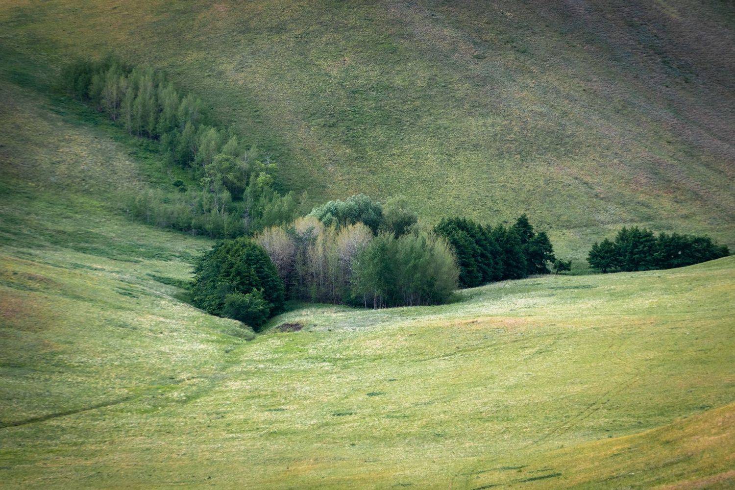 , Иван Федянин