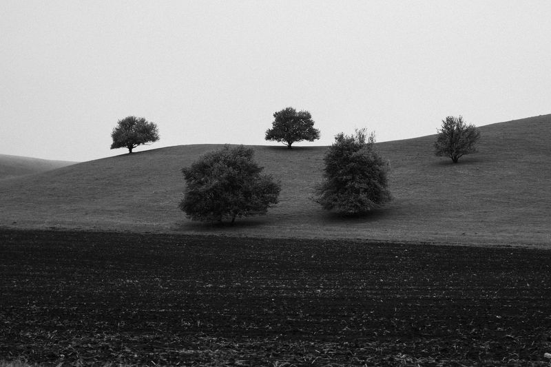 горы, дерево, минимализм Деревья фото превью