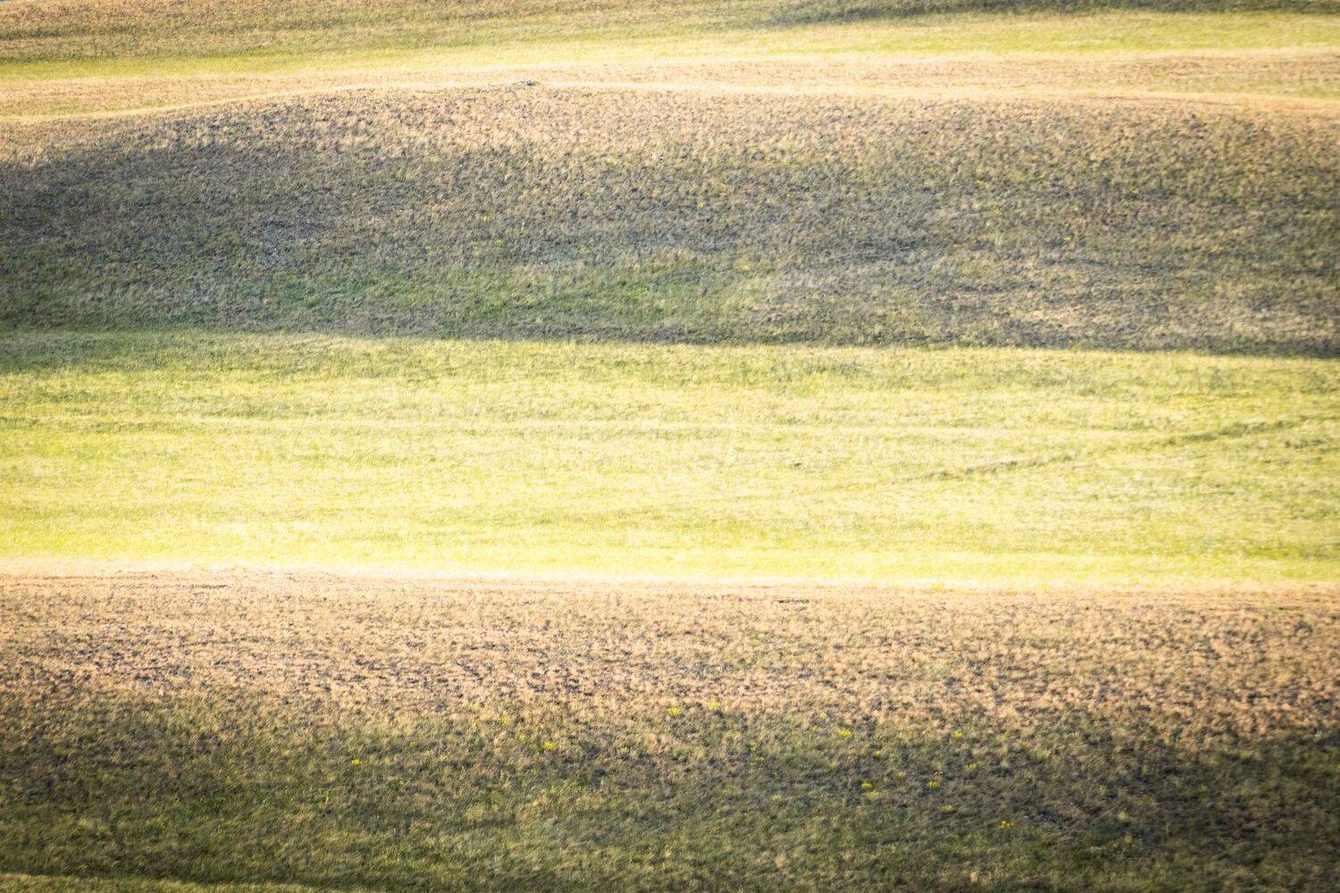 , Иван Федянин