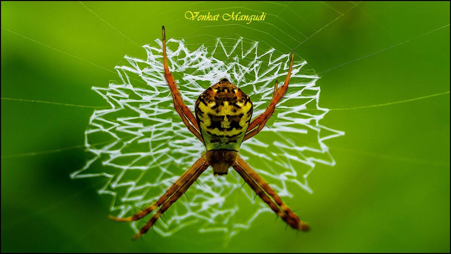 , Venkat Mangudi