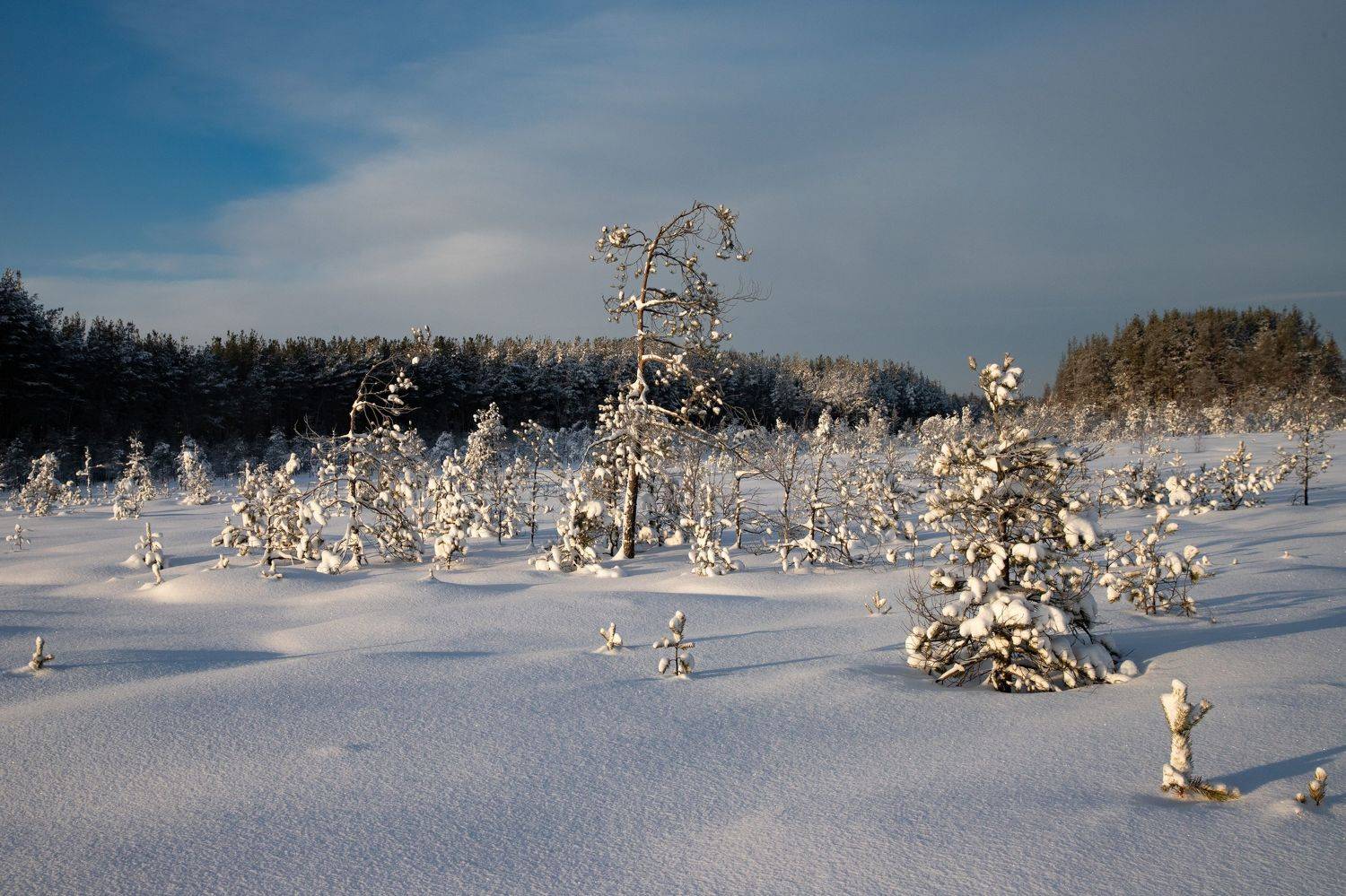 зима, Герасимова Елена