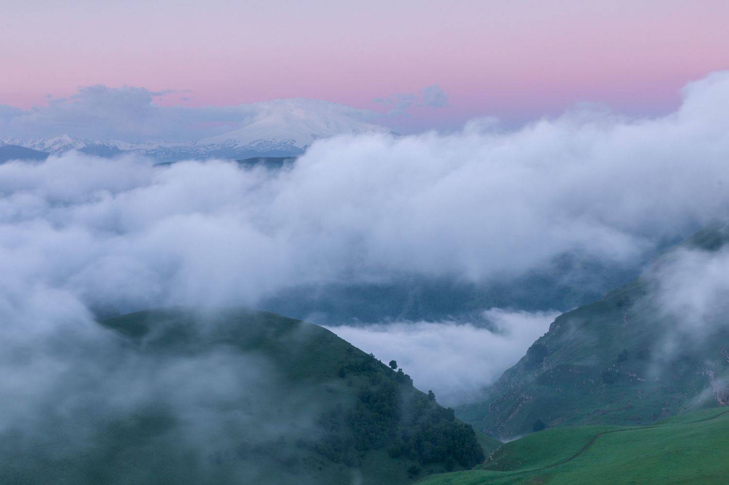 , Евгения Чех