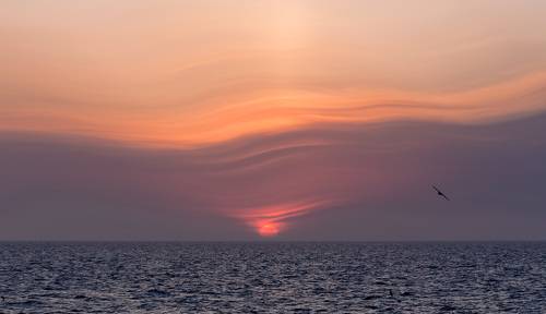 skywave