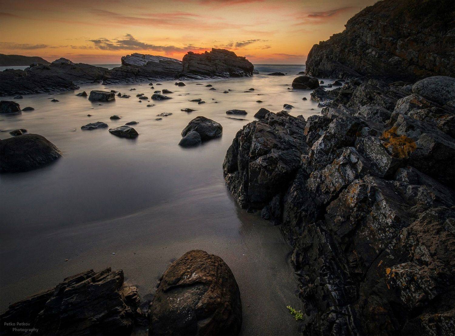 , Петко Петков