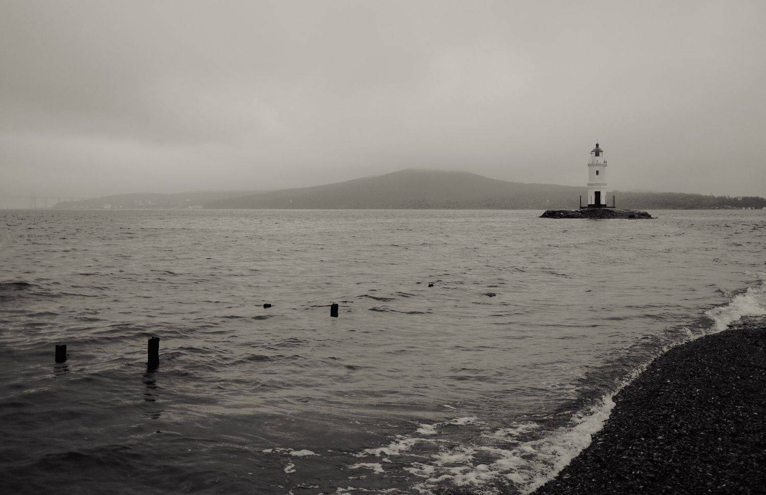 , Виктор Тришин