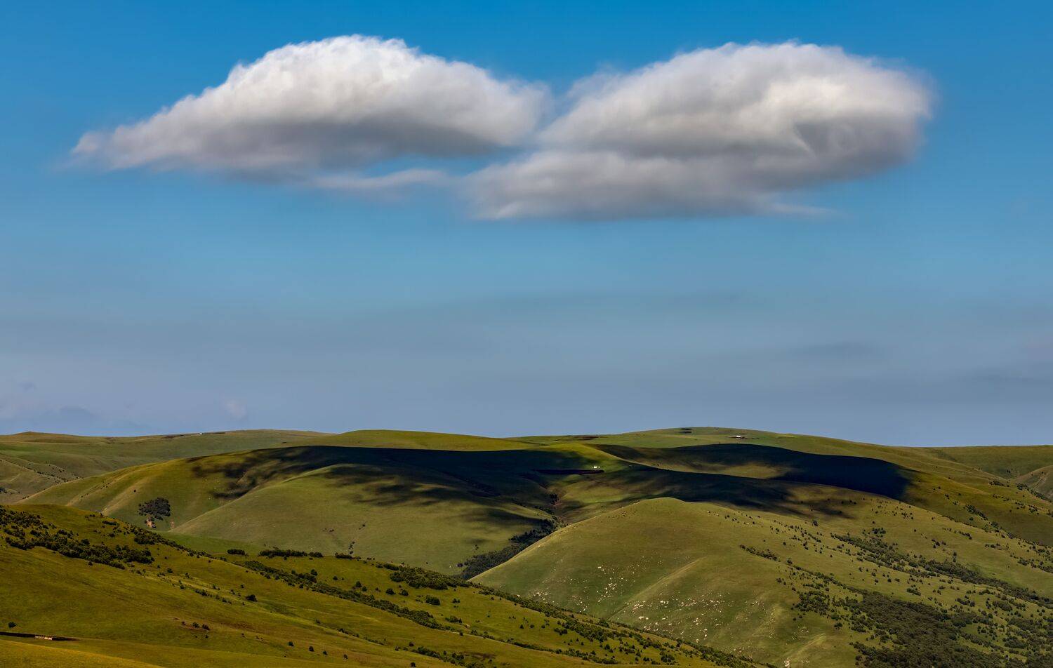, Безмолитвенный Александр